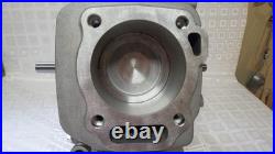 1650 Briggs And Stratton Short Block 13101000 Crank Shaft 591097 Piston 799535