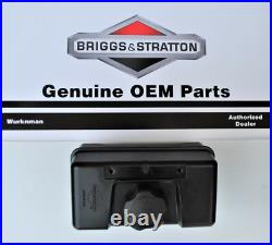 Genuine OEM Briggs & Stratton 691993 Fuel / Gas Tank