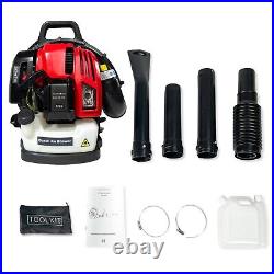 Snow Blower Backpack Leaf Blower 2Stroke Air Cooling Gasoline Grass Blower