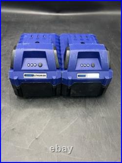 Westinghouse 18in Cordless Snow Blower 48V with 2 Batteries And Charger